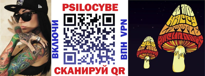Купить закладки  Белозерск  Псилоцибиновые грибы мицелий 